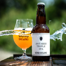 うちゅうブルーイング ANTARES