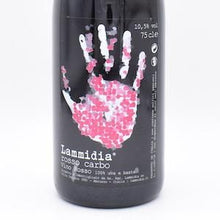 ROSSO CARBO ロッソカルボ 2017 赤750ml / LAMMIDIA ラミディア