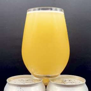 BLACK TIDE BREWING / ブラックタイド DRIFT NET ver.3.0