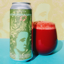 【先行販売品】The Veil / ザ・ヴェイル Never Gonnagetit