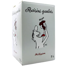 レザン・ゴーロワ 2020 赤 5000ml BIB / マルセル・ラピエール