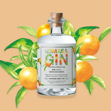 コマサジン 桜島小みかん【量り売り】