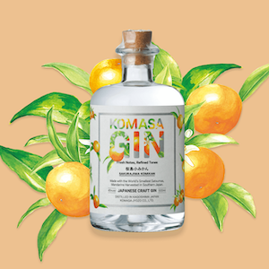 コマサジン 桜島小みかん【量り売り】