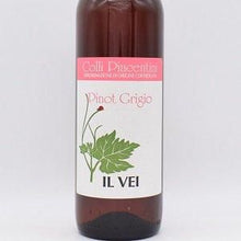 ピノ グリージョ 2021 白・微発砲？ 750ml / Il Vei イル・ヴェイ