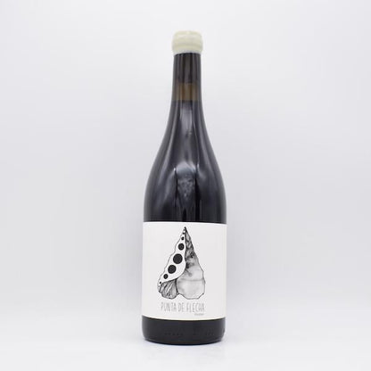 プンタ・デ・フレッチャ 2019 赤 750ml / プンタ・デ・フレッチャ