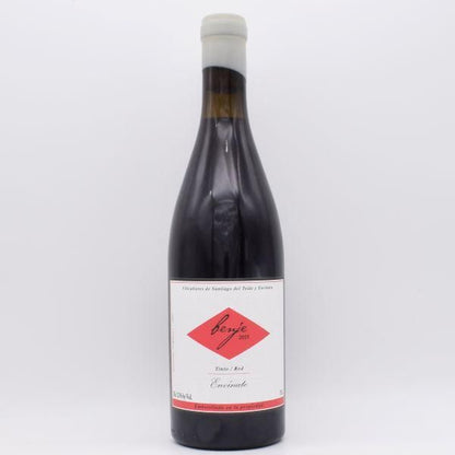ベンヘ・ティント 2019 赤 750ml / エンビナーテ