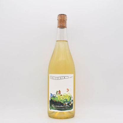 Vallecaia ヴァッレカイア 2021 白 750ml / テッラカンタ