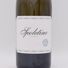 スポレティーノ 2019 白 750ml / パルディ