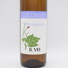 ソーヴィニヨン 2022 白・微発砲？ 750ml / Il Vei イル・ヴェイ