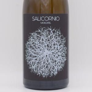 サリコニオ 2021 白 (オレンジ) 750ml / カーサ・バラゲール