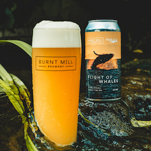 バーントミル FLIGHT OF WHALES Finbackコラボ
