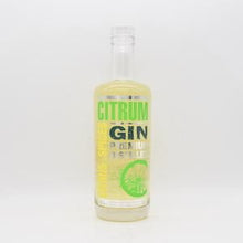 シトラムジン シトラス＆スパイシズ