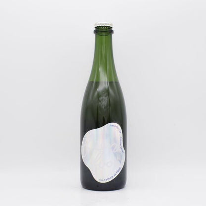 beeno buono 2023 泡 500ml / haccoba LAB＿ × Fattoria AL FIORE（ファットリア・アル・フィオーレ）