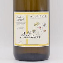 アリアンス 2020 白 750ml / マルク・テンペ