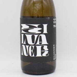 シルヴァーナー 2022 白 750ml / ヴァイングート・ヴァイガント
