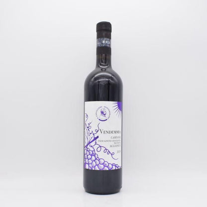 アリアーニコ 2019 赤 750ml / イル・カンチェッリエーレ