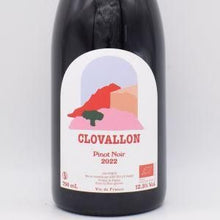 ピノ・ノワール 2022 赤 750ml / ドメーヌ・ド・クロヴァロン