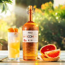 ポーリ マルコーニ44ジン