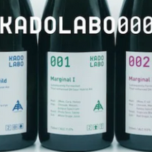 【先行販売品】伊勢角屋麦酒 ＃019 Farmhouse Kumquat Mead KADOLABO