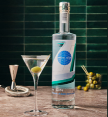 【先行販売品】サイレントプール パンナム ジン