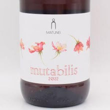ムタビリス ロゼ 2022 750ml / マトゥネイ