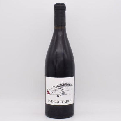 アンドンプターブル 2023 赤 750ml / Les 2 fauves レドゥー フォーヴ
