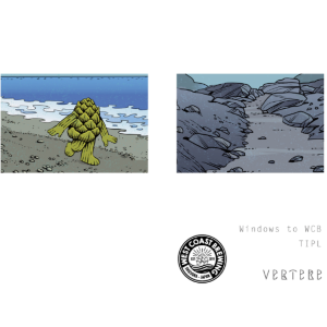 【先行販売品】バテレ Windows to WCB 2024 // TIPL