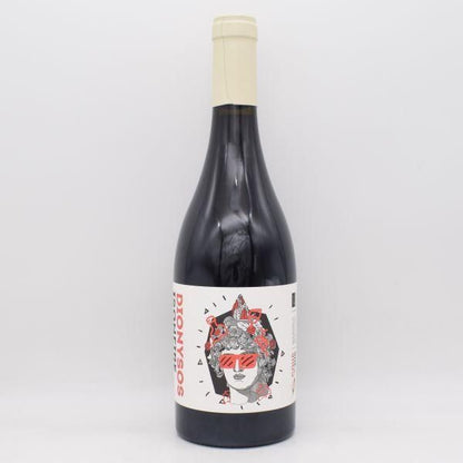 ディオニソス 2022 赤 750ml / Domaine des Marnes Blanches ドメーヌ デ マルヌ ブランシュ