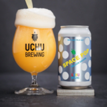 【先行販売品】うちゅうブルーイング スペースポップ ネルソンソーヴィン / SPACE POP NELSON SAUVIN