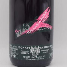 マルヴァジーア ローザ フリッザンテ 2023 ロゼ微泡 750ml / Camillo Donati カミッロドナーティ