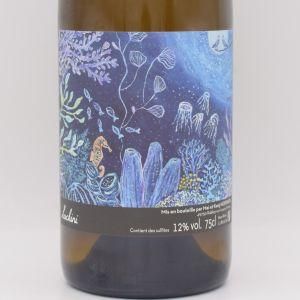 ルッチーニ ブラン 2022-2023 白 750ml / Mai et Kenji Hodgson マイ エ ケンジ ホジソン