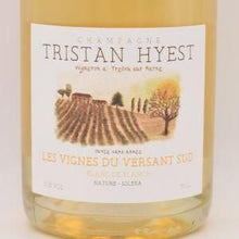 【ご購入条件有り】レ ヴィーニュ デュ ヴェルサン シュッド 2020 泡 750ml / TRISTAN HYEST トリスタン イエスト
