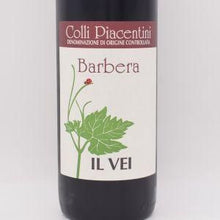 バルベーラ 2021 赤 750ml / Il Vei イルヴェイ