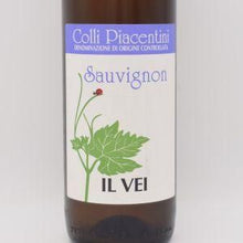 ソーヴィニヨン 2023 白 750ml / Il Vei イルヴェイ