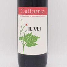 グットゥルニオ 2021 赤微泡 750ml / Il Vei イルヴェイ