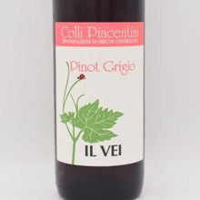 ピノグリージョ 2023 微泡 750ml / Il Vei イルヴェイ