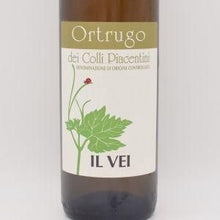 オルトゥルーゴ 2023 微泡 750ml / Il Vei イルヴェイ