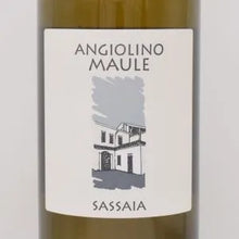 サッサイア 2023 白 750ml / La Biancara ラ ビアンカーラ