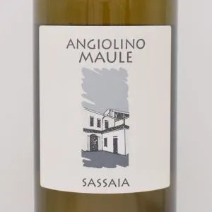 サッサイア 2023 白 750ml / La Biancara ラ ビアンカーラ