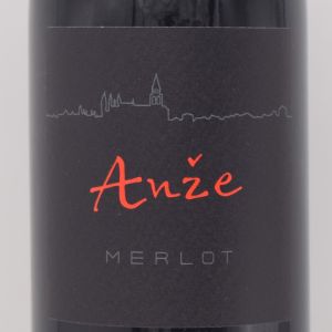 メルロー 2022 赤 750ml / Anze Ivancic アンジェ