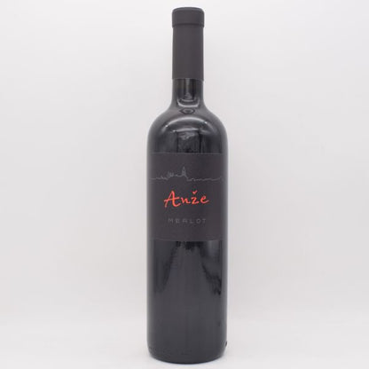 メルロー 2022 赤 750ml / Anze Ivancic アンジェ