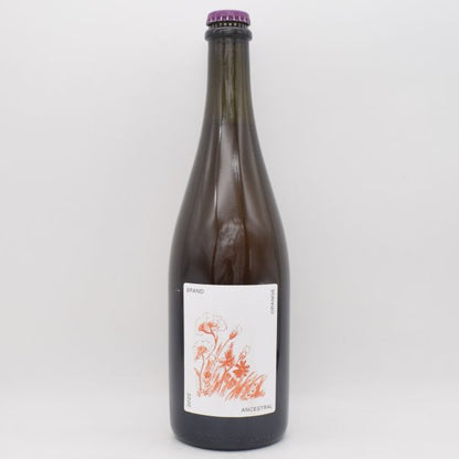 アンセストラル オレンジ 2022 微泡 750ml / BRAND BROS ブランドブロス