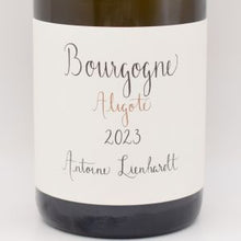 ブルゴーニュ アリゴテ 2023 白 750ml / Antoine Lienhardt アントワーヌ リエナルト