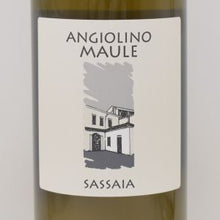 サッサイア 2024 白 750ml / La Biancara ラ ビアンカーラ