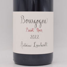 ブルゴーニュ ピノノワール 2022 赤 750ml / Antoine Lienhardt アントワーヌ リエナルト