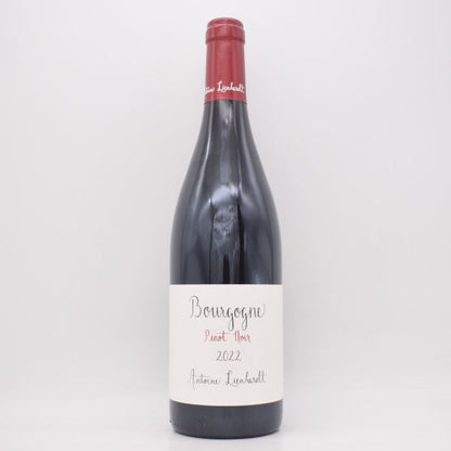 ブルゴーニュ ピノノワール 2022 赤 750ml / Antoine Lienhardt アントワーヌ リエナルト
